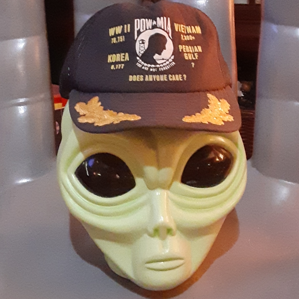 POW * MIA hat